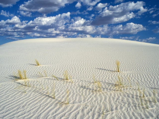 ALFREDO DE STEFANO. WHITE SANDS. 28 x 36 CM.