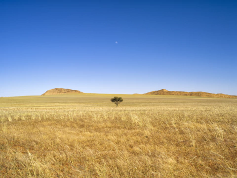 ALFREDO DE STEFANO. NAMIBIA. 28 x 36 CM.