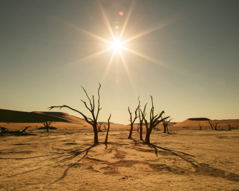 ALFREDO DE STEFANO. NAMIBIA #2. 28 x 36 CM.