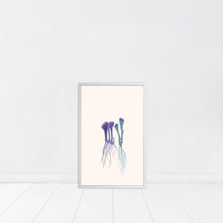 Cintia Fernandez Padin. Sin titulo, 24 x 17 cm