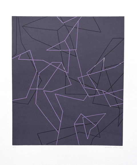 ERNESTO ALVA. FRACCIÓN M. 63X48CM