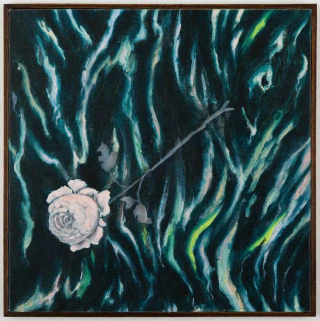 Ayelen Mohaded. La rosa de la locura, 45 x 45 cm - buy online