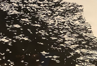 Julian Pesce. Traducciones, 150 x 200cm