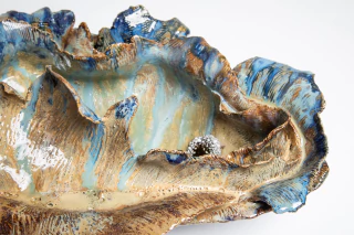 Florencia Califano. Semilla I. Serie Migraciones naturales, 50 x 40 x 35 cm