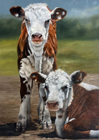 Florencia Ibarguren. Dos terneros, 70 x 50 cm