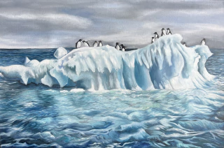 Florencia Ibarguren. Pinguinos, 60 x 40 cm