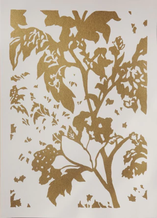 Lucia Spotorno. Serie Adoraciones , 65 x 48 cm.
