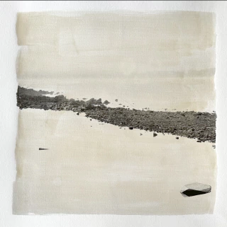 Felicitas Bonino. Surge y desaparece I, 62 x 62 cm - buy online