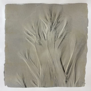 Agnes Lanfranco. Surge y desaparece V, 62 x 62 cm - comprar online