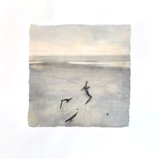 Lola Garcia Berro. Surge y desaparece XI, 62 x 62 cm - comprar online