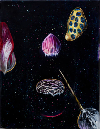 Catalina White. Vulvas galácticas I, 35 x 27 cm