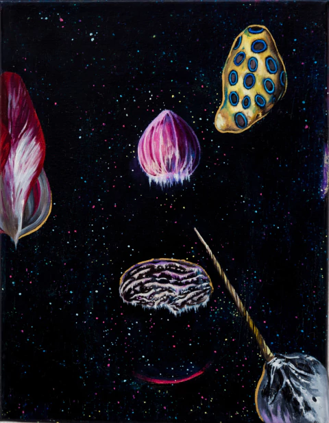 Catalina White. Vulvas galácticas I, 35 x 27 cm