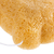 Imagem do Esponja de Limpeza Facial Konjac