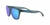OAKLEY FROGSKINS PRIZM POLARIZADO OO9013 F6 - Optica Central Store