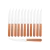 Set X12 Cuchillos Acero Inoxidable Mango Madera Dynamic Tramontina