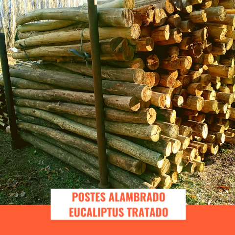 Postes redondos Eucaliptus Tratado CCA ***PROMO*** 10/12 cm diám. x 2.20 m - comprar online