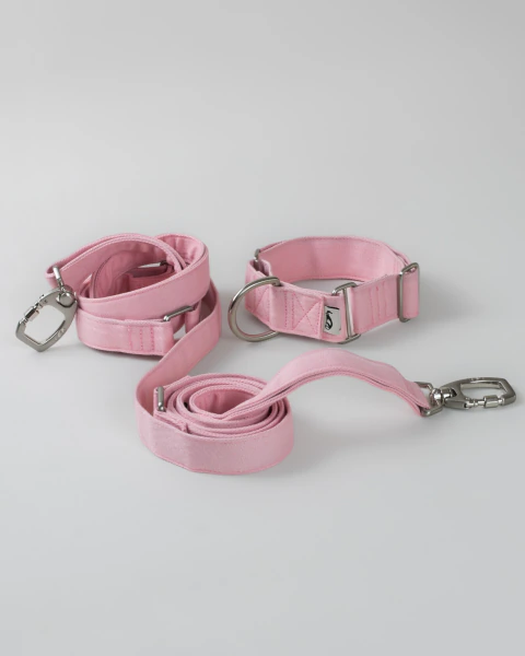 Kit Runner Blush da Ruff Ruff: coleira Martingale 35mm e guia mãos livres Active