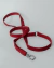Guia Multifuncional para cachorros Tarde no Campo - (cópia) - buy online