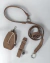 Kit Starter para cachorros Shitake - (cópia)