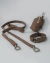 Kit Starter para cachorros Shitake - (cópia) - buy online