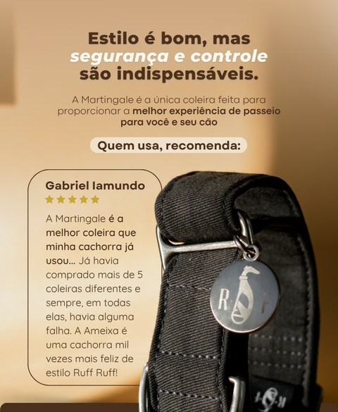 Carrossel 1