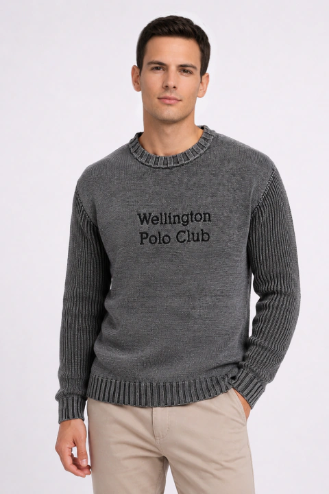 SWEATER DE PUNTO 100% algodón SAUCE en internet