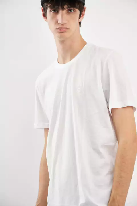 REMERA BASICA 100% ALGODON en internet