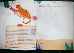 Imagen de Conocé y Dibujá - Los animales de mi tierra