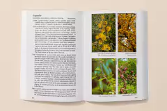Image of ARBOLES RIOPLATENSES - Biota Rioplatense III - SEGUNDA EDICIÓN