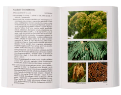 Image of ARBOLES URBANOS 1 - Biota Rioplatense IV - Segunda Edición
