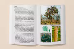 ARBOLES RIOPLATENSES - Biota Rioplatense III - SEGUNDA EDICIÓN - online store