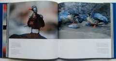 Momentos Mágicos de la Patagonia - tienda online