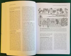 La Conducta de las Plantas - Etología Botánica - La Biblioteca del Naturalista