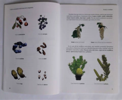 Cultivo de Plantas Autóctonas de la Argentina - en Hogares, Escuelas y Viveros Pequeños - La Biblioteca del Naturalista