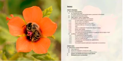 La invención del sexo y la evolución de la vida - buy online