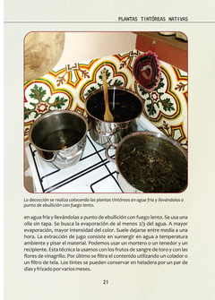 Imagen de PLANTAS TINTÓREAS NATIVAS