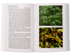 ARBOLES URBANOS 1 - Biota Rioplatense IV - Segunda Edición - buy online