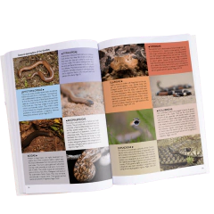 Snakes of Argentina - Complete Guide - comprar online