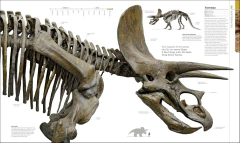 Dinosaurs and Prehistoric Life: The Definitive Visual Guide to Prehistoric Animals