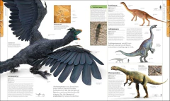 Dinosaurs and Prehistoric Life: The Definitive Visual Guide to Prehistoric Animals - La Biblioteca del Naturalista
