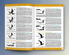 Aves del Atlántico Sudoccidental y Antártida