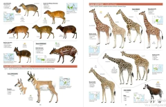 ALL THE MAMMASL OF THE WORLD (idiona Inglés) - online store