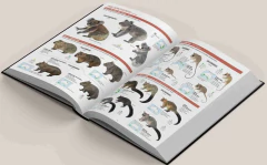 ALL THE MAMMASL OF THE WORLD (idiona Inglés) - buy online