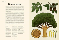 ARBORETUM - tienda online