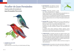 AVES ENDEMICAS - ARGENTINA & CHILE - (bilingüe) en internet