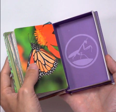 LUMINIAS ( LIBRO + JUEGO DE CARTAS )