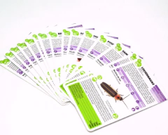 LUMINIAS ( LIBRO + JUEGO DE CARTAS ) - buy online