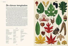 BOTANICUM - La Biblioteca del Naturalista