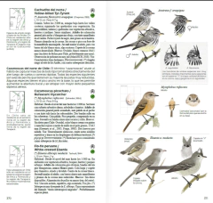 Aves de Chile - Guía de Campo - La Biblioteca del Naturalista