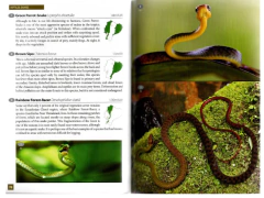 Wildlife of Ecuador: A Photographic Field Guide to Birds, Mammals, Reptiles, and Amphibians en internet